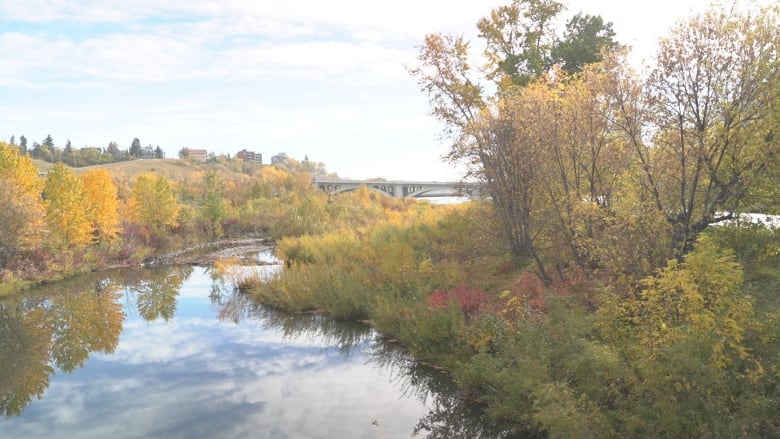 A river surrounded by yellow and green foliage.