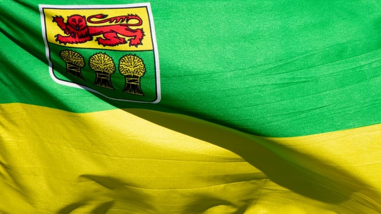 A closeup shows a yellow and green flag with a coat of arms in the corner showing three sheafs of wheat and a red lion.