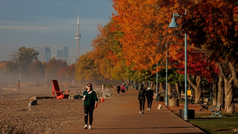 People walk on a boardwalk beside trees with red and orange leaves.