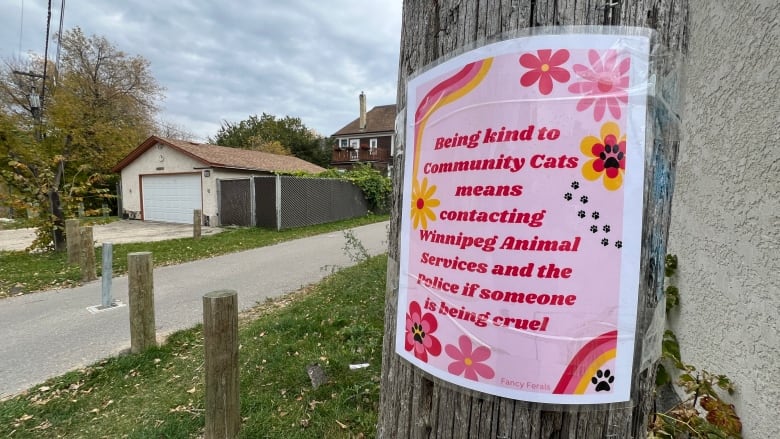 A sign that ask people to be respectful to their cats. 