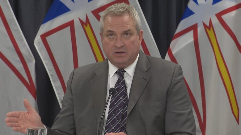 Man in grey suit sits in front Newfoundland flags talking