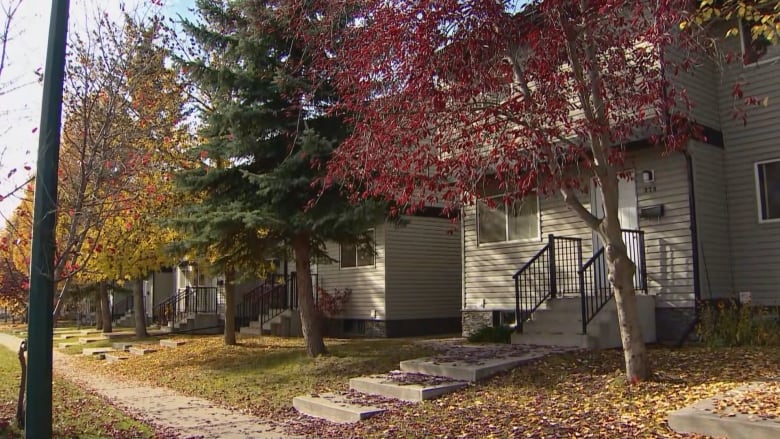 A row of houses with yellow, red and brown leaves on trees and on the grass. 