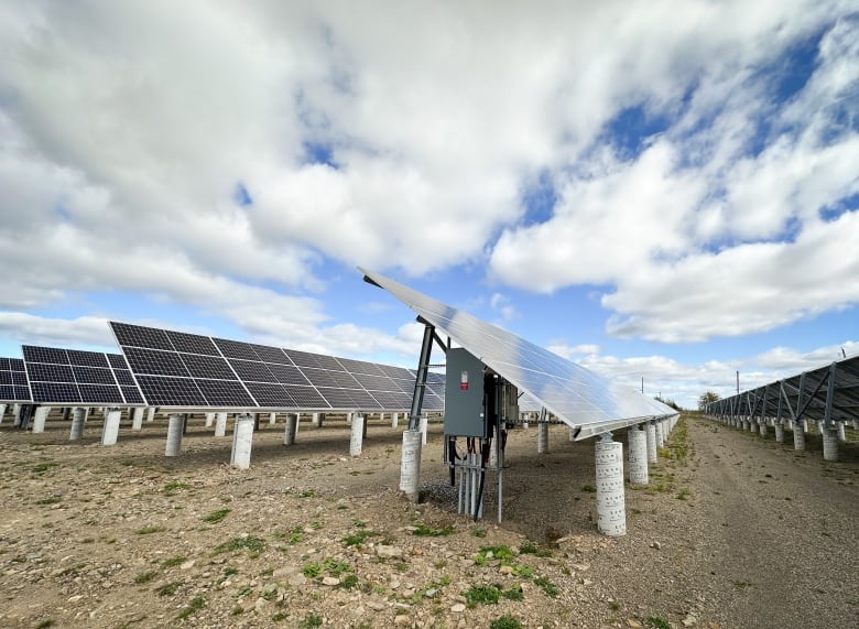 Rows of solar panels can be seen on a sunny day.