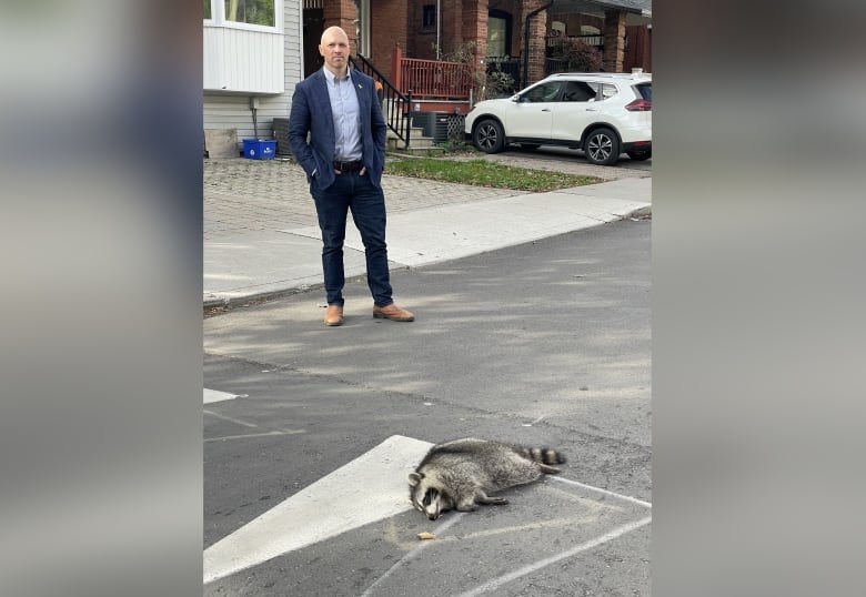 A man stands on the street feet away from a dead raccoon.