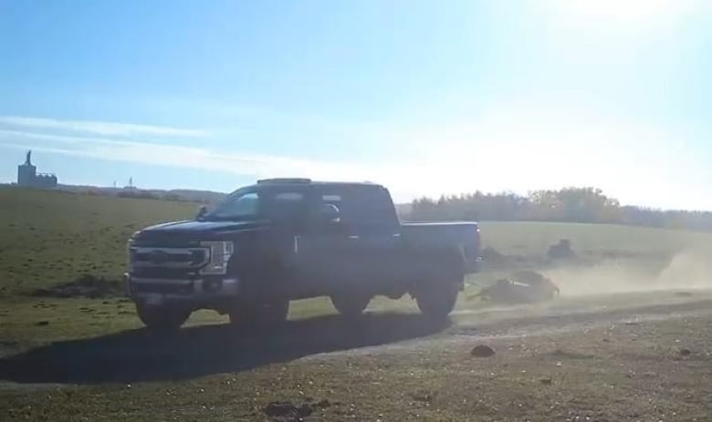 A photo of a black truck dragging a bison on a trail.