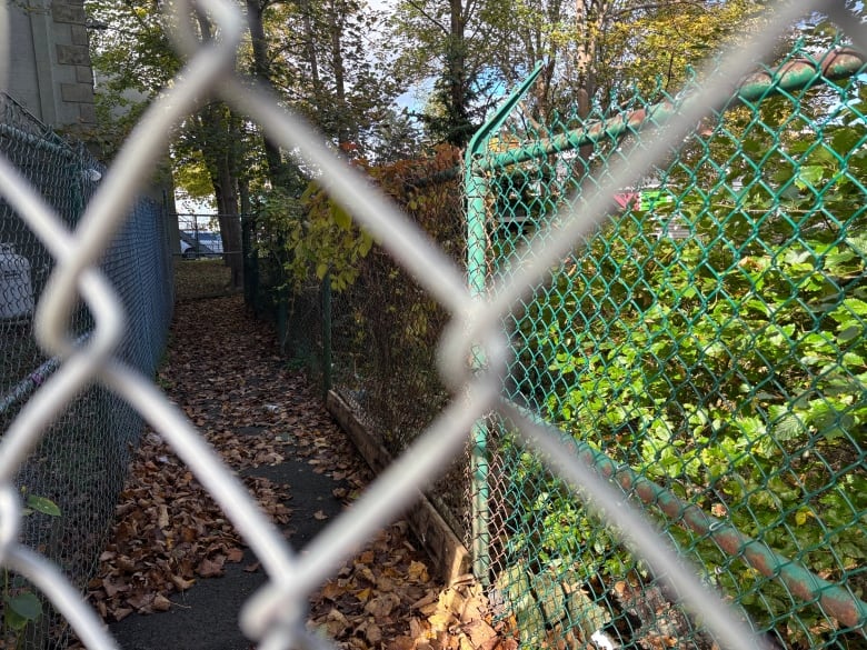 A path covered in leaves can be seen through a gate.