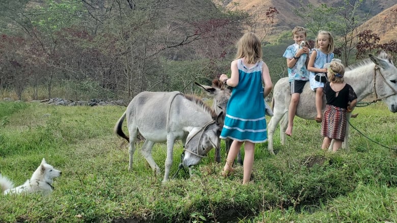 Two children sit on a donkey while two other children, a second donkey and a dog stand in a grassy area overlooking mountains. 