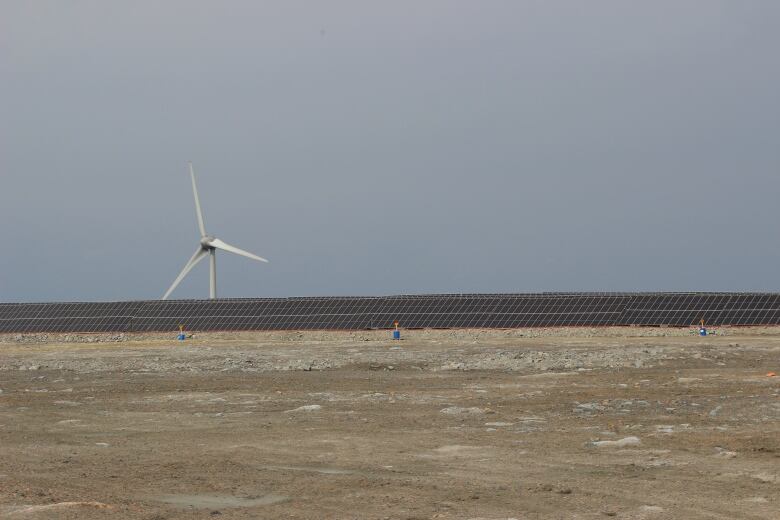 A row of solar panels on dirt, with a turbine before a grey sky.