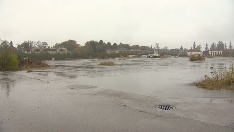 A huge concrete pad is covered in shrubs, and a few work vehicles are visible in the background.