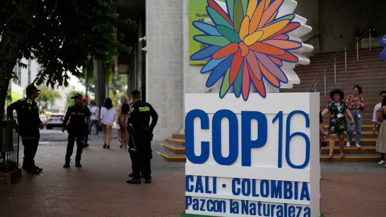 Police stand guard in front of a hotel a day ahead of the COP16 United Nations.