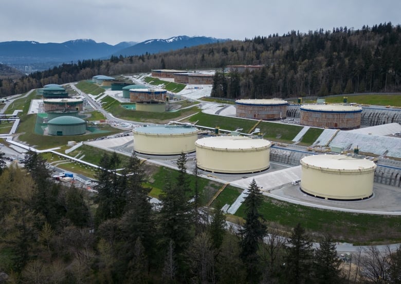 very large oil tanks are seen in an aerial picture