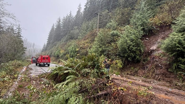 Debris, including tree branches and mud, covers a road