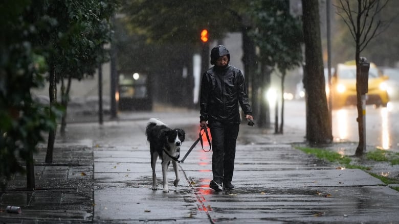 A woman walks a very wet dog on a sidewalk during heavy rain.