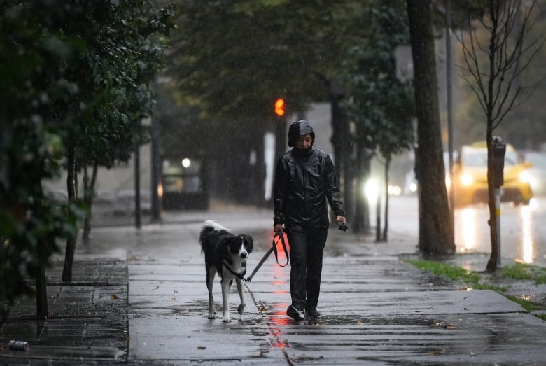 A woman walks a very wet dog on a sidewalk during heavy rain.