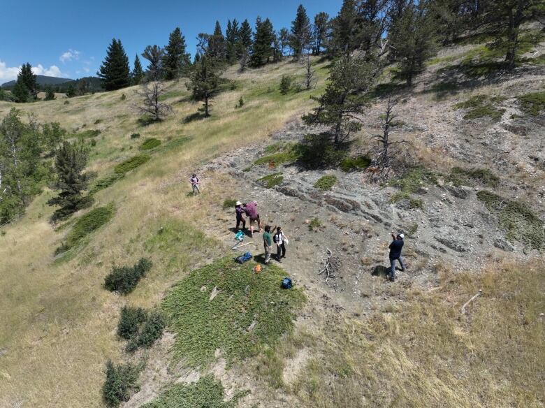 A group of people stand on the side of a hill near a patch of ground that has been damaged by mining activity. 