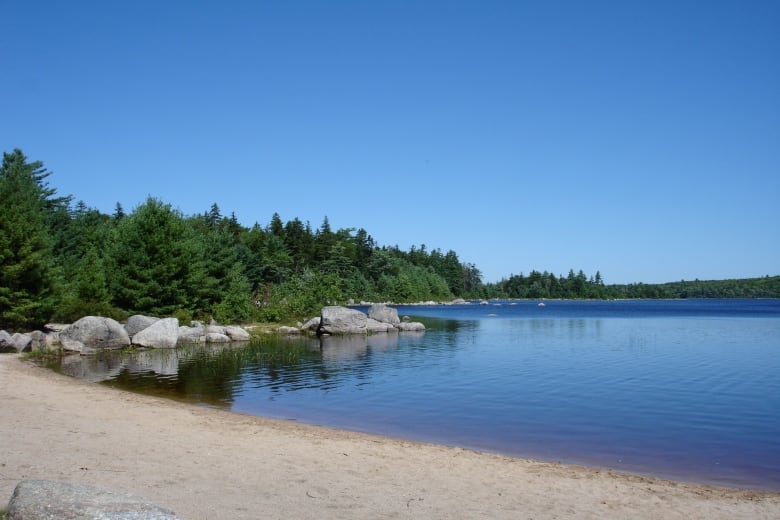 A lake beach with many green trees, blue water and white sand. 