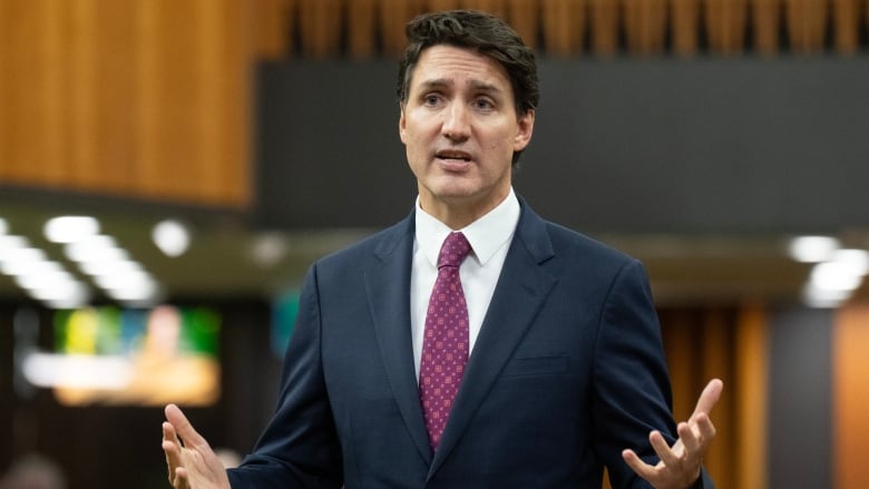 Prime Minister Justin Trudeau rises during Question Period in Ottawa, Tuesday, Oct. 22, 2024.