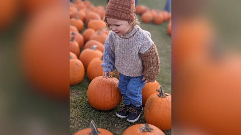 A boy in a sweater and jeans walks among pumpkins.