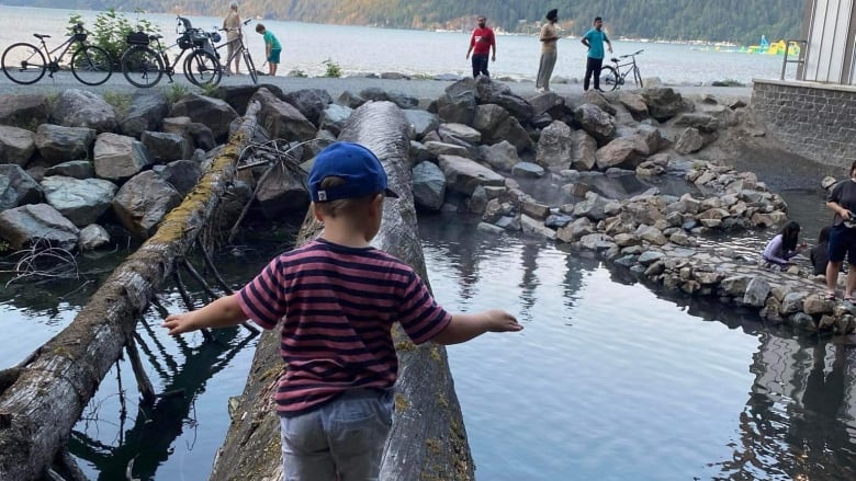 A child carefully balances as he walks across a natural bridge formed by a fallen tree at a hot spring.