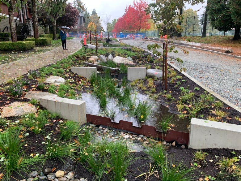 A garden filled with water