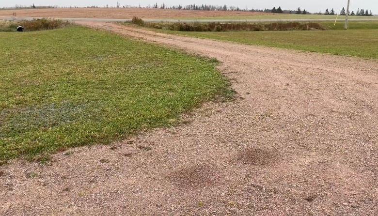 A gravel driveway in a rural area with two dark circular spots. 