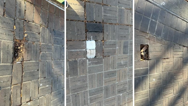 Gaps are pictured along a floor of an urban park where bricks were previously laid.