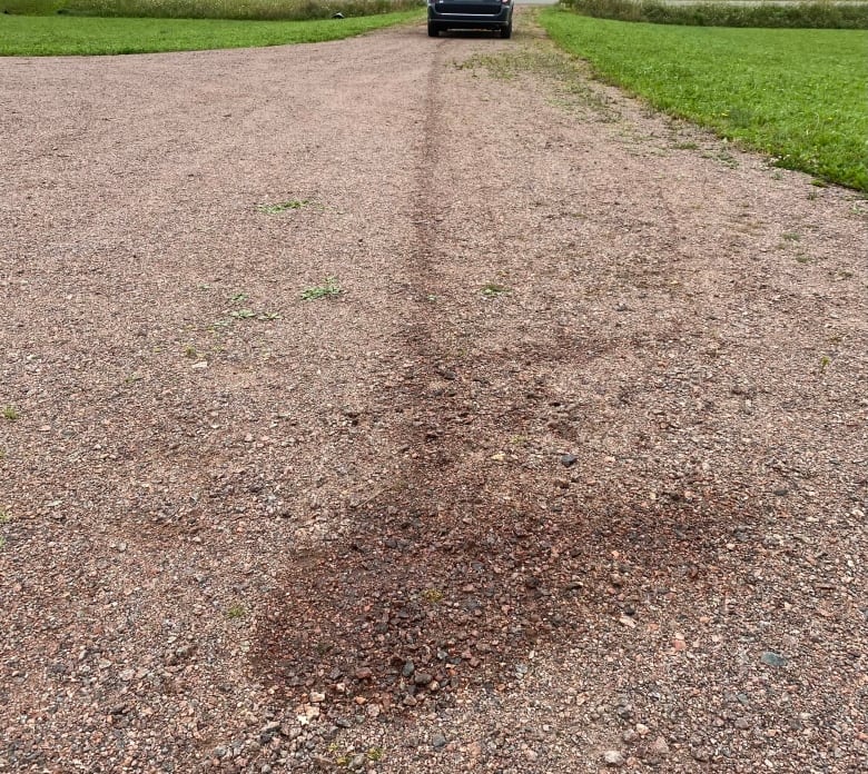 A gravel driveway with a darker splotch on it extending down the driveway towards a car.