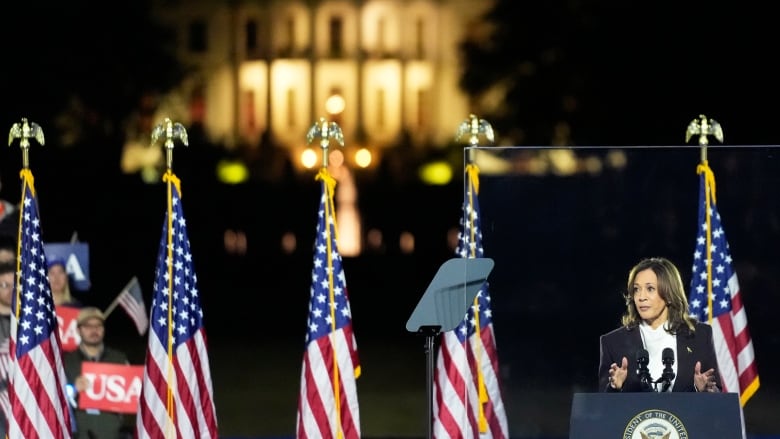 Harris in spotlight, in front of lit White House, in dark