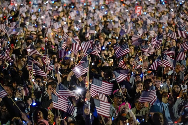 Supporters cheer as Democratic presidential nominee Vice President Kamala Harris speaks during a campaign rally on the Ellipse in Washington, Tuesday, Oct. 29, 2024. (AP Photo/Evan Vucci)