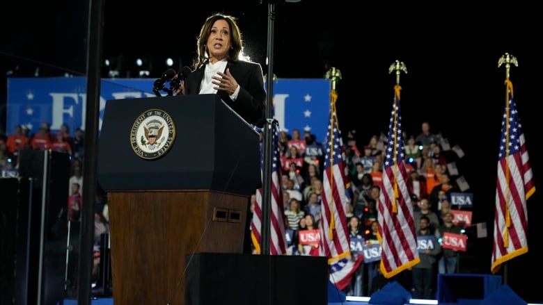 Democratic presidential nominee Vice President Kamala Harris speaks during a campaign event at the Ellipse near the White House in Washington, Tuesday, Oct. 29, 2024. (AP Photo/Jacquelyn Martin)