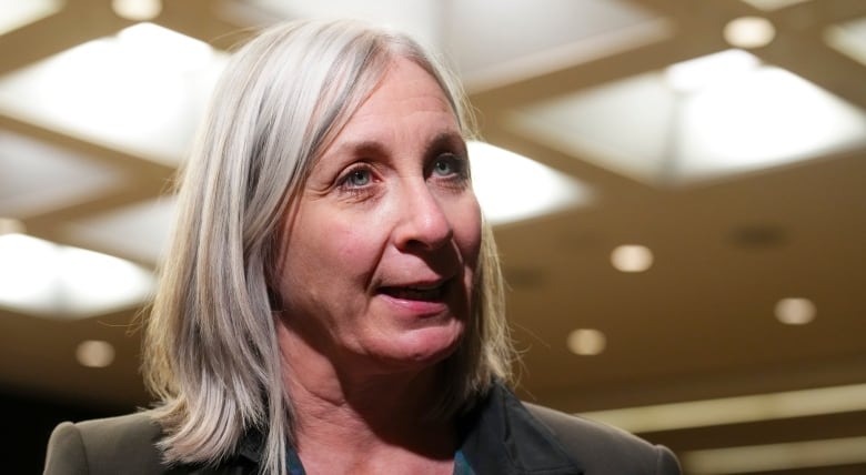 Indigenous Services Minister Patty Hajdu arrives at the House of Commons standing committee on Indigenous and Northern Affairs on Oct. 28, 2024.