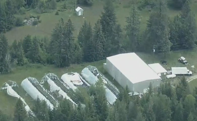 An aerial view of multiple damaged greenhouses and a rectangular barn-like warehouse.