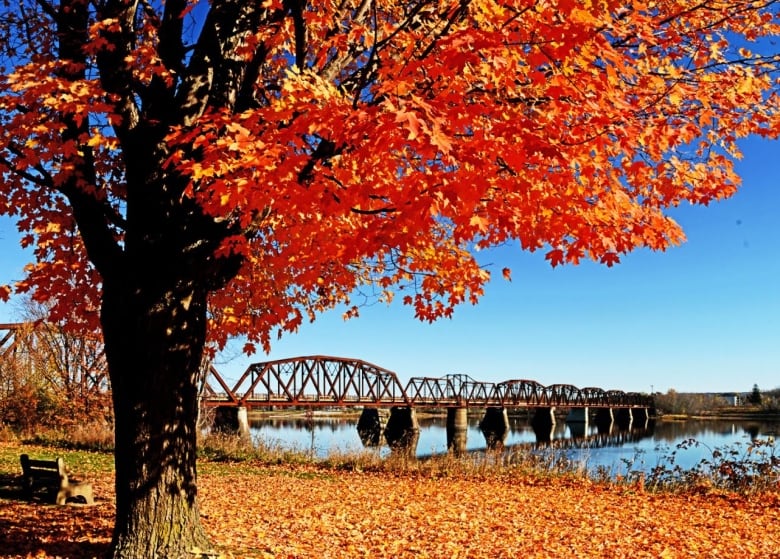 Fredericton walking bridge