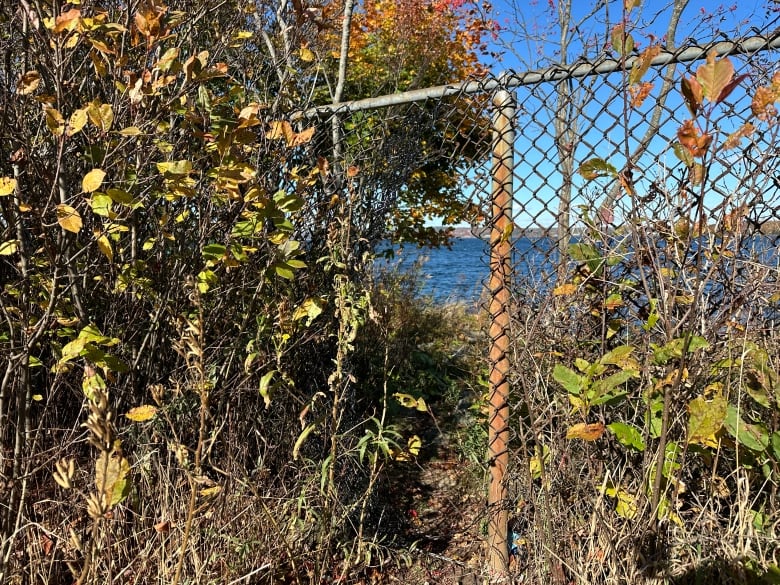 A rusted chain-link fence is shown with a gap in the middle where it needs repairing.