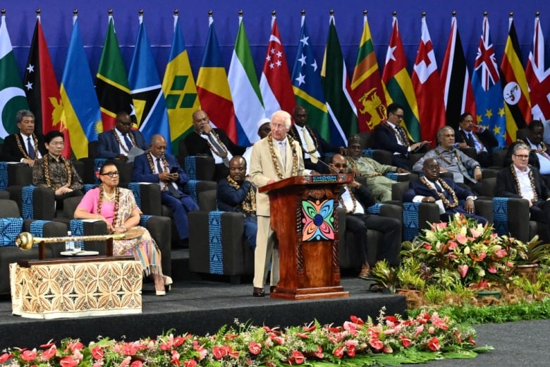 A person delivers a speech from a lecturn as several people sit behind is raised seating, in front of several flags. 