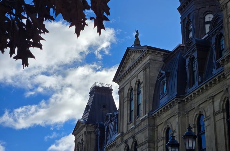 A legislative building with a tree branch full of leaves in the foreground.