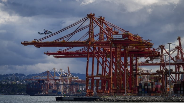 Gantry cranes used to load and unload cargo ships at a port.