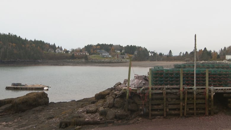 A foggy community on a body of water is shown.