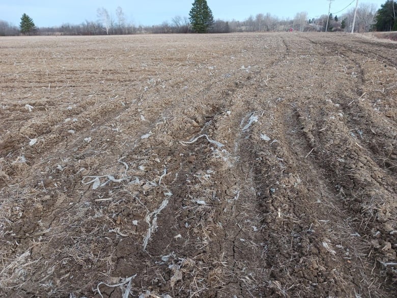 A field with small pieces of plastic strewn about.