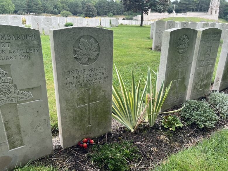 A soldier's gravestone with strawberries and blueberries at the base of it. 