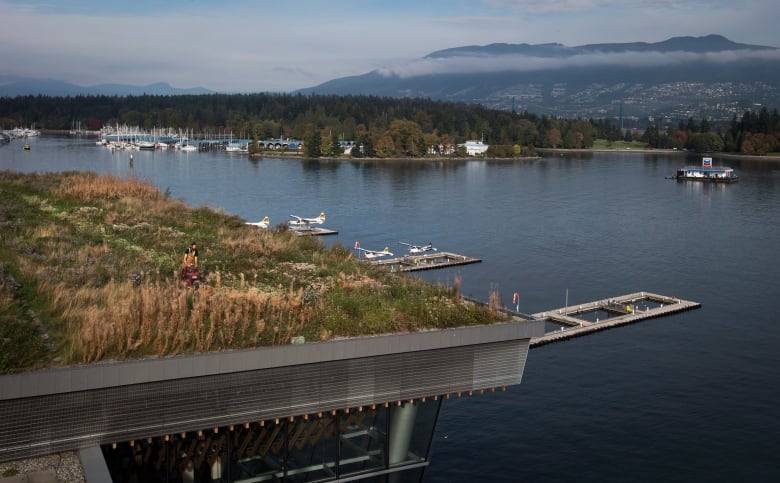 The roof of a building along a waterfront has long grass growing on it and a man mowing it.