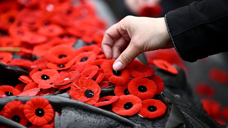 People place poppies on the Tomb of the Unknown Soldier after the Remembrance Day ceremony at the National War Memorial in Ottawa, on Monday, Nov. 11, 2024. 