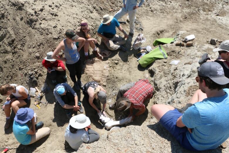 People working at a site. 