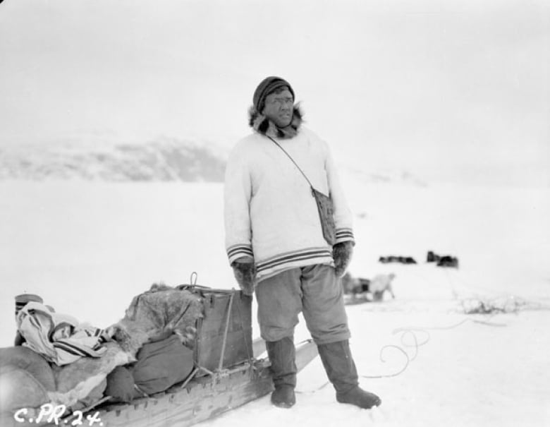 black and white photo of man with sled dogs