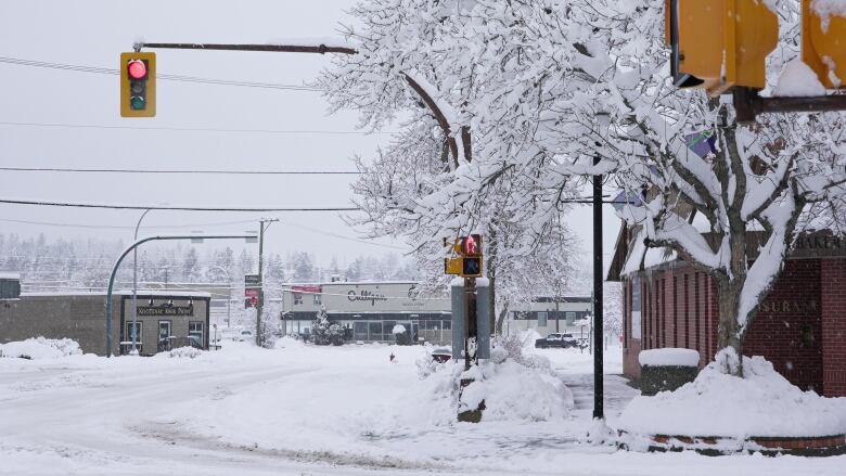 A traffic signal and trees are seen with significant amounts of snow around.