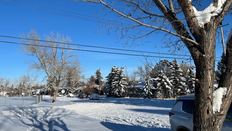 A snow-covered residential street.