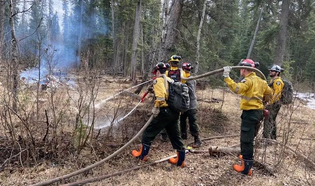 Alberta Tests Emergency Response Systems Ahead of Wildfire Season