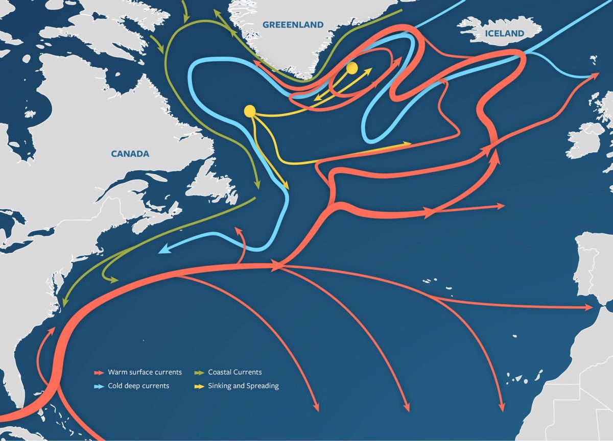 Atlantic Ocean Current Showing Signs of Collapse: What Scientists Fear Could Reshape Global Weather