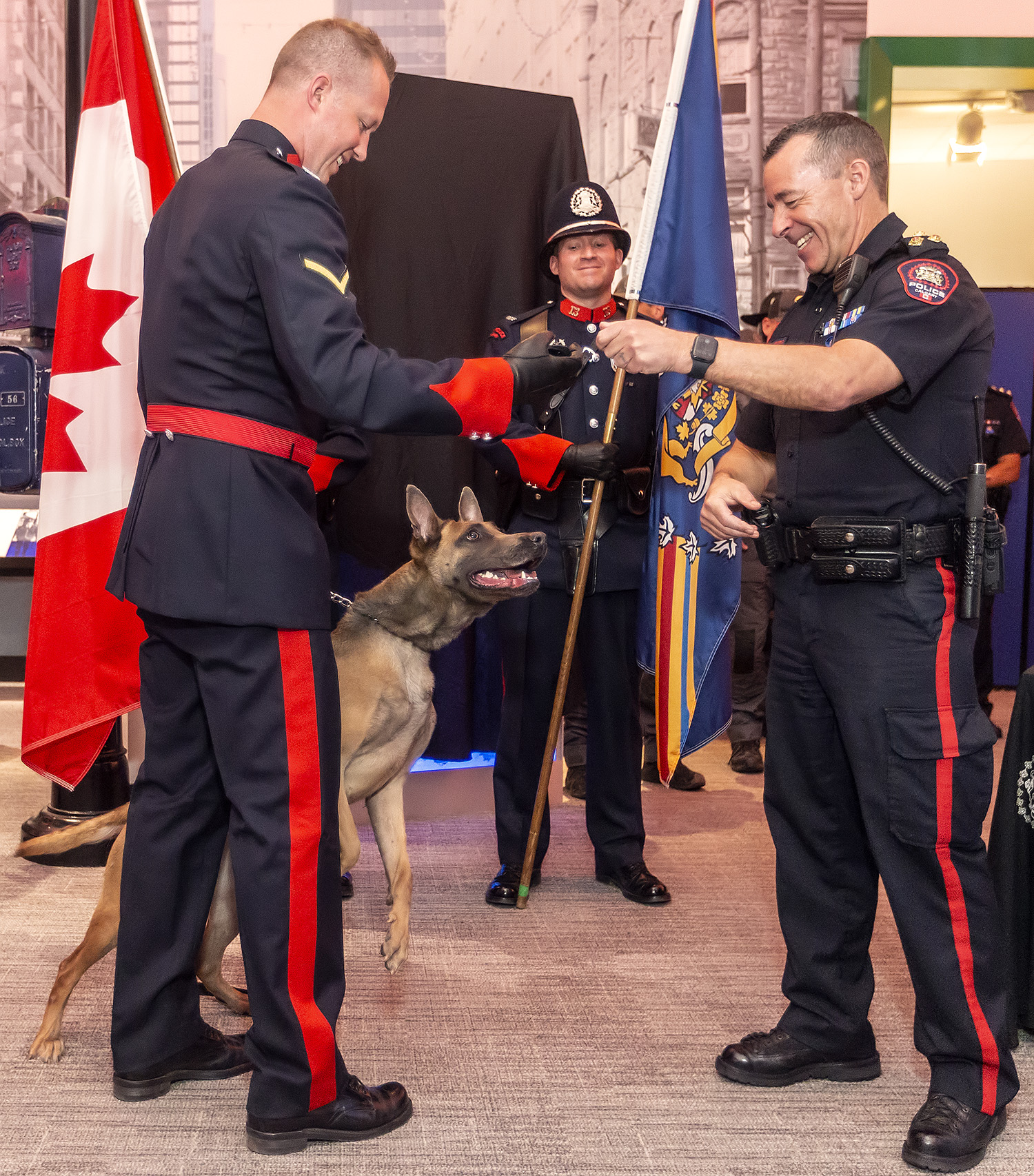 Police Watchdog Launches Investigation Into Police Dog Bite Incident at Calgary School