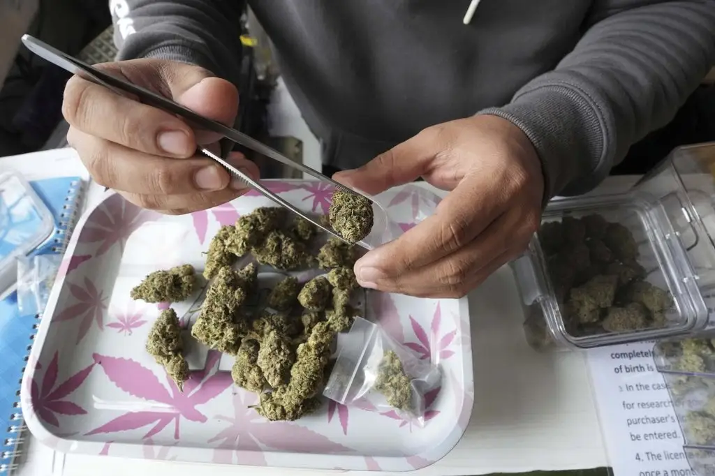 RCMP Pushes Back on Nova Scotia Government's Unsubstantiated Cannabis Claims